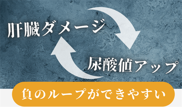 肝臓ダメージと尿酸値アップは負のループができやすい