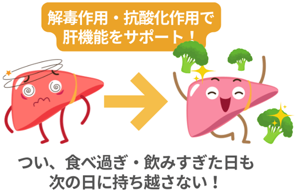 解毒作用・抗酸化作用で肝機能をサポート！つい、食べ過ぎ・飲みすぎた日も次の日に持ち越さない！